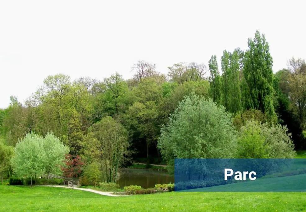 « Le City » Proche Aeroport Cdg, Parc Asterix, Disney, Даммартен-ан-Гоель Екстер'єр фото